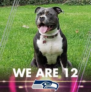 Meet your Posher, Johnny